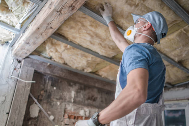 Best Commercial Insulation in Port Republic, NJ